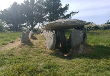 Tour Wandern Trébeurden - PLEUMEUR-BODOU (l'île Grande) - Photo