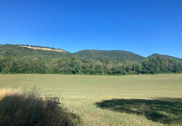 Trail Walking Ordonnaz - Ordonnaz  - Photo