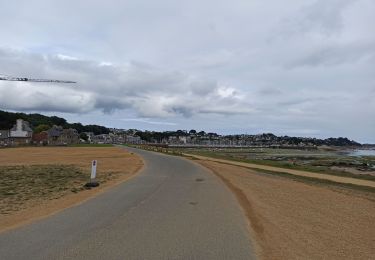 Trail Mountain bike Perros-Guirec - Ragnolien - Photo