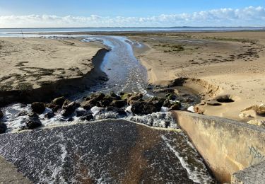 Trail Walking Les Mathes - La palmyre SAR - Photo
