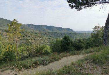 Percorso Mountainbike Vallon-Pont-d'Arc -  Bois de bruyère Salavas - Photo