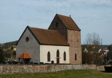 Tocht Te voet Wimmenau - Green triangle - Photo