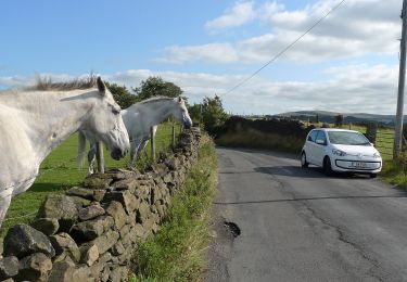 Randonnée A pied Stockport - Cown Edge Way - Photo