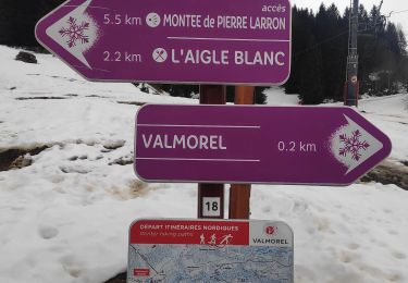 Trail Walking Les Avanchers-Valmorel - Valmorel par l'Ormay - Photo