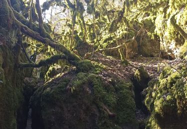 Randonnée Marche Nant - boucle des canalettes - Photo