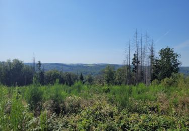 Tour Wandern Hohenfels - rando nadrin 10-09-2023 - Photo