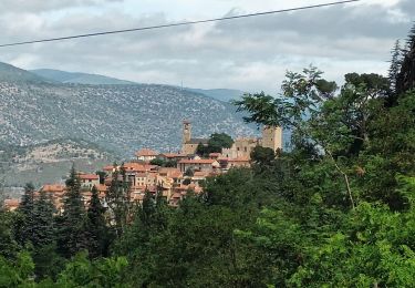 Trail Walking Casteil - Vernet les Bains - Photo