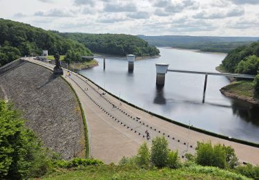 Trail Walking Jalhay - Tour du lac de la Gileppe  - Photo