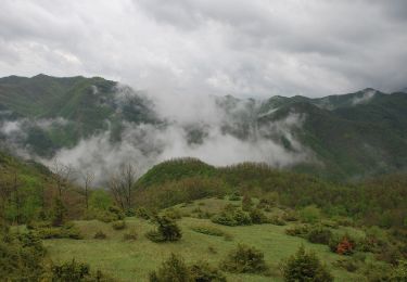 Tocht Te voet Santa Sofia - Dai prati delle Mandriacce alla Burraia - Photo