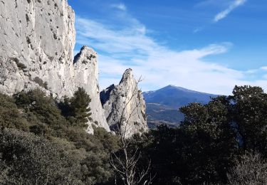 Tour Wandern Gigondas - les - Photo