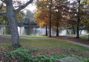 Trail Walking Bergen op Zoom - Zoom - Zanderijen - Photo