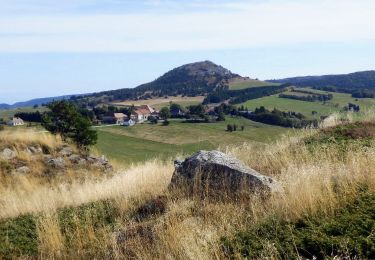 Trail Walking Péreyres - Pereyres Lachamp 16km - Photo