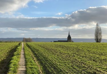 Randonnée Marche Anzegem - Kaster 19 km - Photo