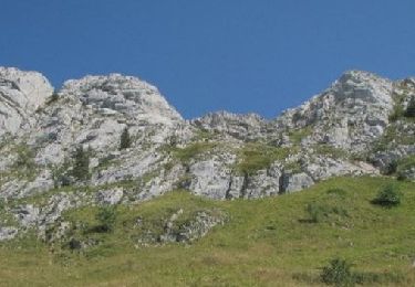 Tour Wandern Villard-de-Lans - Col vert - Fauge - Photo