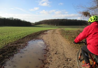 Tocht Mountainbike Foulain - Ruisseau de Moiron, Région Foulain - Photo