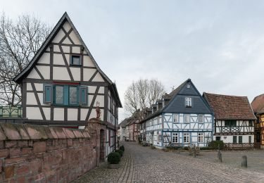 Excursión A pie Eltville am Rhein - Gutenbergweg - Photo