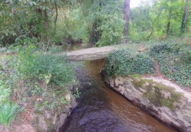 Randonnée Marche Aubigny-Les Clouzeaux - AUBIGNY  - Photo