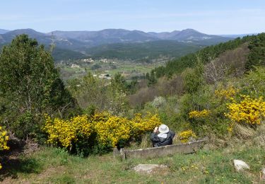 Trail Walking Saint-Paul-le-Jeune - St Paul Le Jeune-Chapelle St Sébastien 18km - Photo