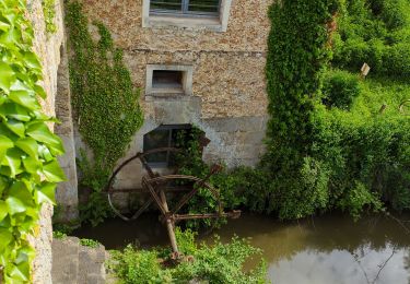 Percorso Corsa a piedi Voisins-le-Bretonneux - domaine d'Or - Photo