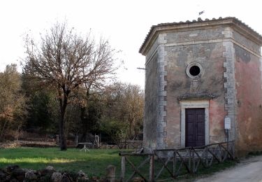 Tour Zu Fuß Monteriggioni - IT-101 - Photo