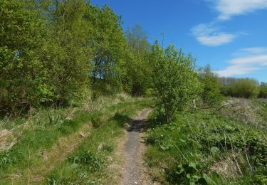 Randonnée A pied  - The Shore Circular Path - Photo