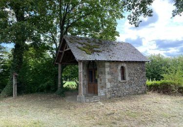 Tour Wandern Geilich - Baclain La Falize 8/2020 - Photo