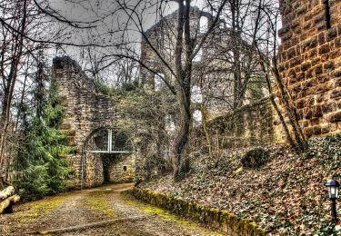 Tocht Te voet Gomadingen - Süßen - Scharfenhof - Kuchalb - Photo