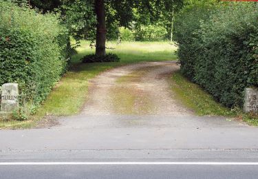 Trail On foot Eschede - Südheide 'Beim Hecht im Karpfenteich' W14l (lange Tour) - Photo