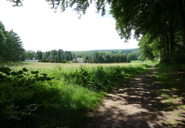 Randonnée A pied Raeren - GrenzRouten: Rundweg Köpfchen - Photo