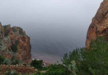 Tour Wandern Théoule-sur-Mer - Ballade à la Pointe de l'Aiguille - Photo