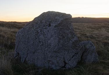 Tocht Te voet Besse-et-Saint-Anastaise - La Chapelle de Vassivière - Photo