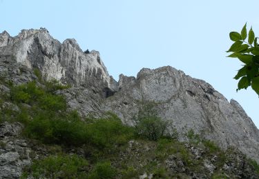 Trail On foot Petreștii de Jos - Circuitul Cheilor Turzii - Photo