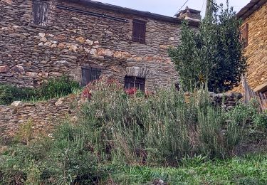 Tocht Stappen Saint-Étienne-Vallée-Française - Montagne vieille morte - Photo