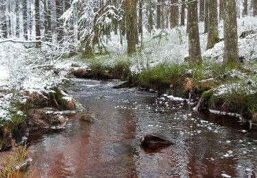 Tour Wandern Malmedy - Pouhon - Photo