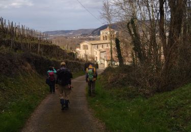 Tour Wandern Vion - 07 vion zel 09.03.23 - Photo