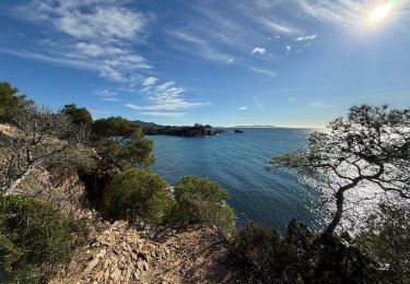 Trail Walking Bormes-les-Mimosas - Brégançon - Port Pothuau - Photo