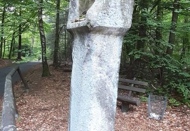 Trail On foot Oberzent - Rundwanderweg Olfen 1: Rotes-Wasser-Weg - Photo