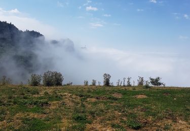 Excursión Senderismo Les Déserts - Nivolet - Photo