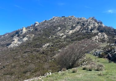 Tocht Stappen L'Albère - Col de l’outillage  - Photo