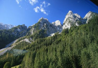 Tocht Te voet Gosau - Rund um den Gosaukamm - Photo