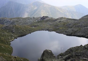 Tocht Te voet Valtorta - (SI D15S) Rifugio Alberto Grassi - Rifugio Cesare Benigni - Photo