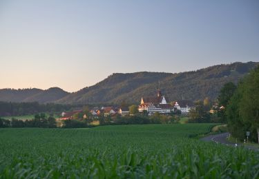 Excursión A pie Kappel am Albis - Chlostermatt - Ober Rifferswil - Photo