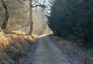 Trail Walking Ambérieu-en-Bugey - allymes reel - Photo