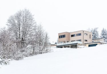 Tour Zu Fuß Eichgraben - Eichgraben - Hochstraß - Photo