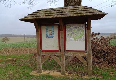 Trail Walking Vauchassis - Balade en forêt d'Hothe - Photo