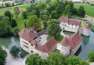 Tocht Te voet Villmergen - Schloss Hallwil -Seengen - Villmergen - Photo