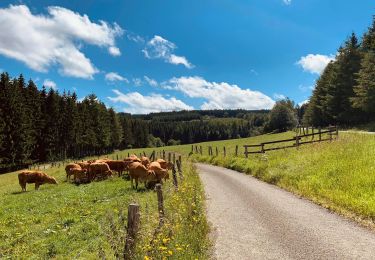 Trail Walking Bièvre - Marche Adeps de Oizy 15 km - Photo