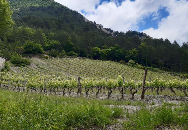 Trail Walking Die - Col de Bergu  - Photo