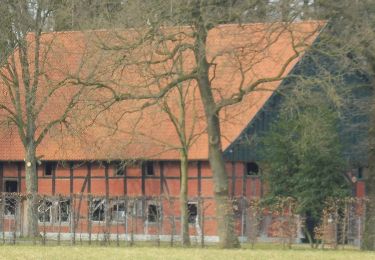 Excursión A pie Hövelhof - Rundwanderweg A5 - Furlbach – Rixelknapp - Photo
