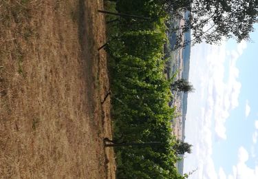 Trail Walking Rouvroy - torgny - Photo